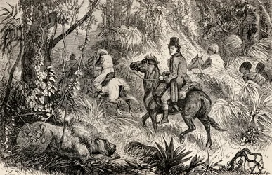 Mungo Park incontra un leone mentre si dirige verso il villaggio di Modiboo, 1825